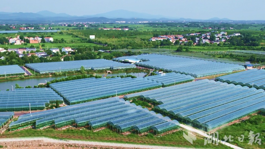 在线捕鱼游戏中心
